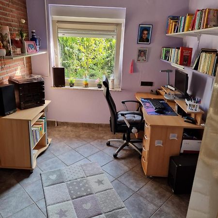 Haus Kalle 하를레질 외부 사진